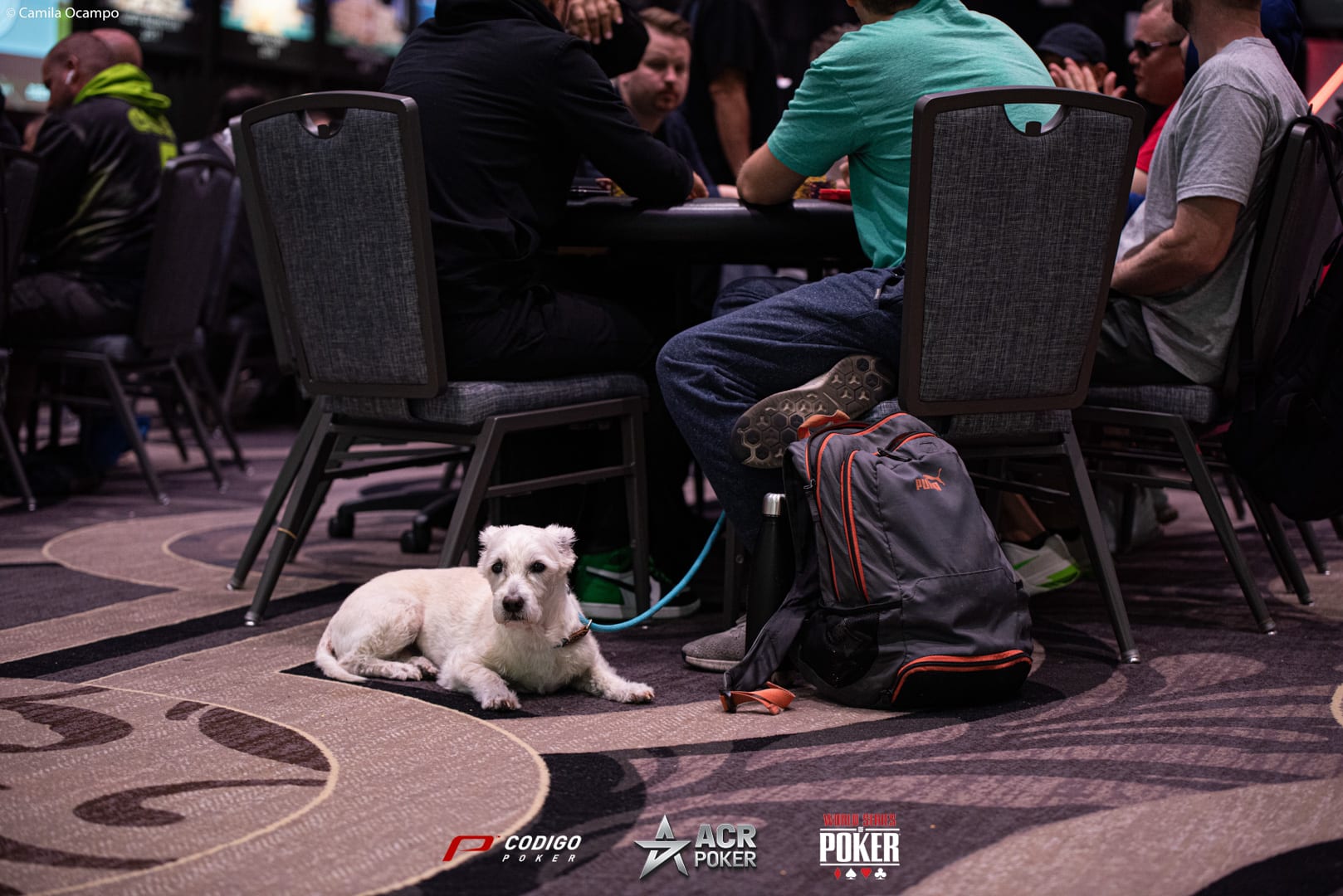 Wsop Main Event Day 3 69