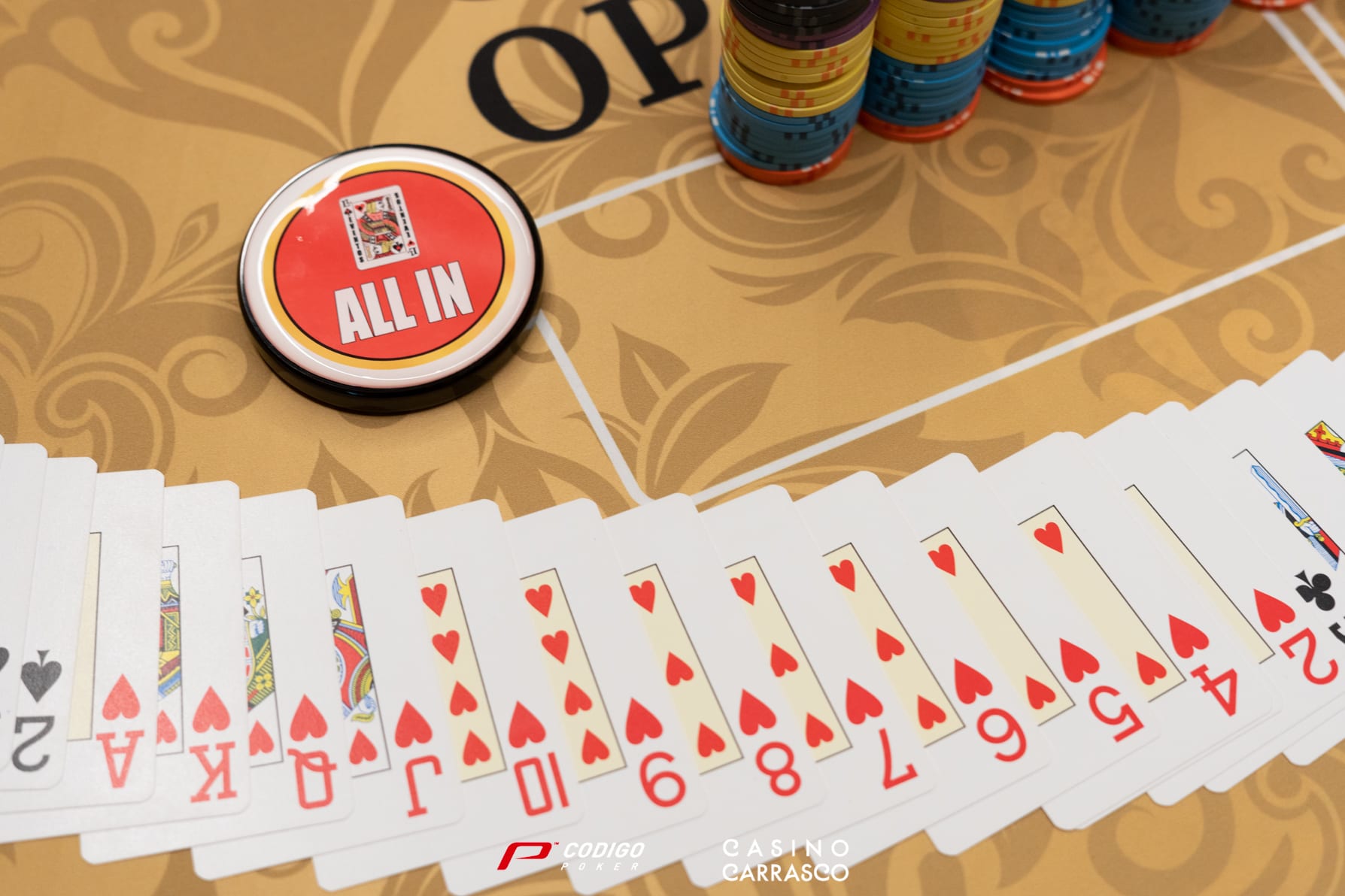 Grinder Report: toda la acción de los paños virtuales