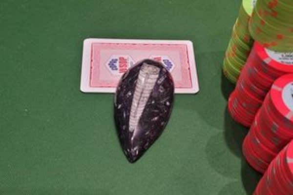 WSOP 2023: no ganó un brazalete, pero sí un ¡fósil!