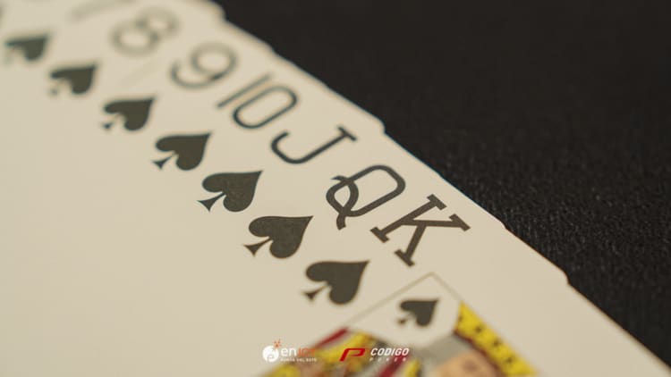 Color Ept Febrero 2025 38