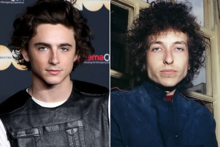 Timothee Chalamet Bob Dylan