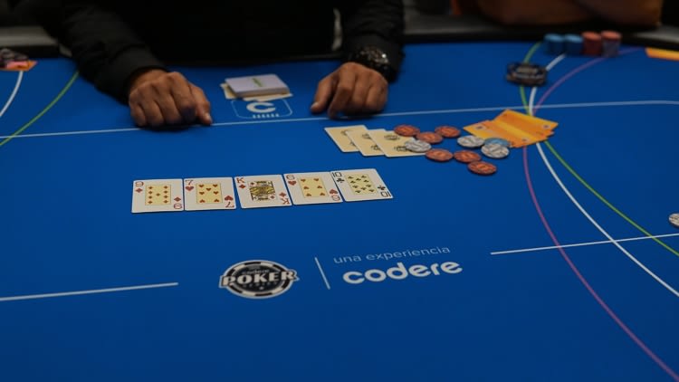 54418712423 6A8E618022 K