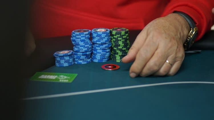 Shr 25K Gramado Color 2 1