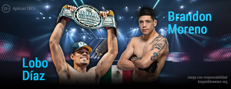 Latam Mma Crm Banner