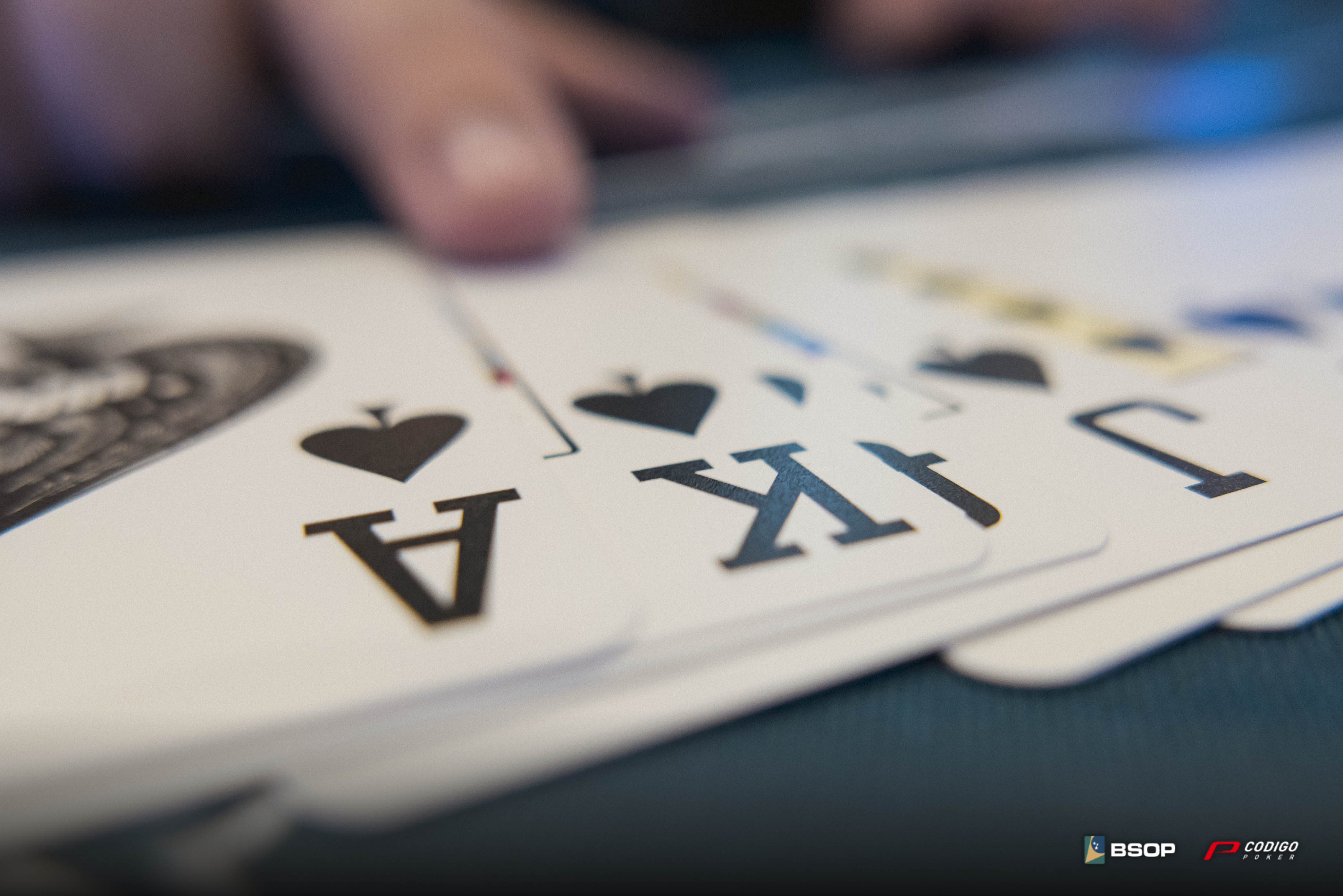 Color Bsop Winter Millions 2025 31