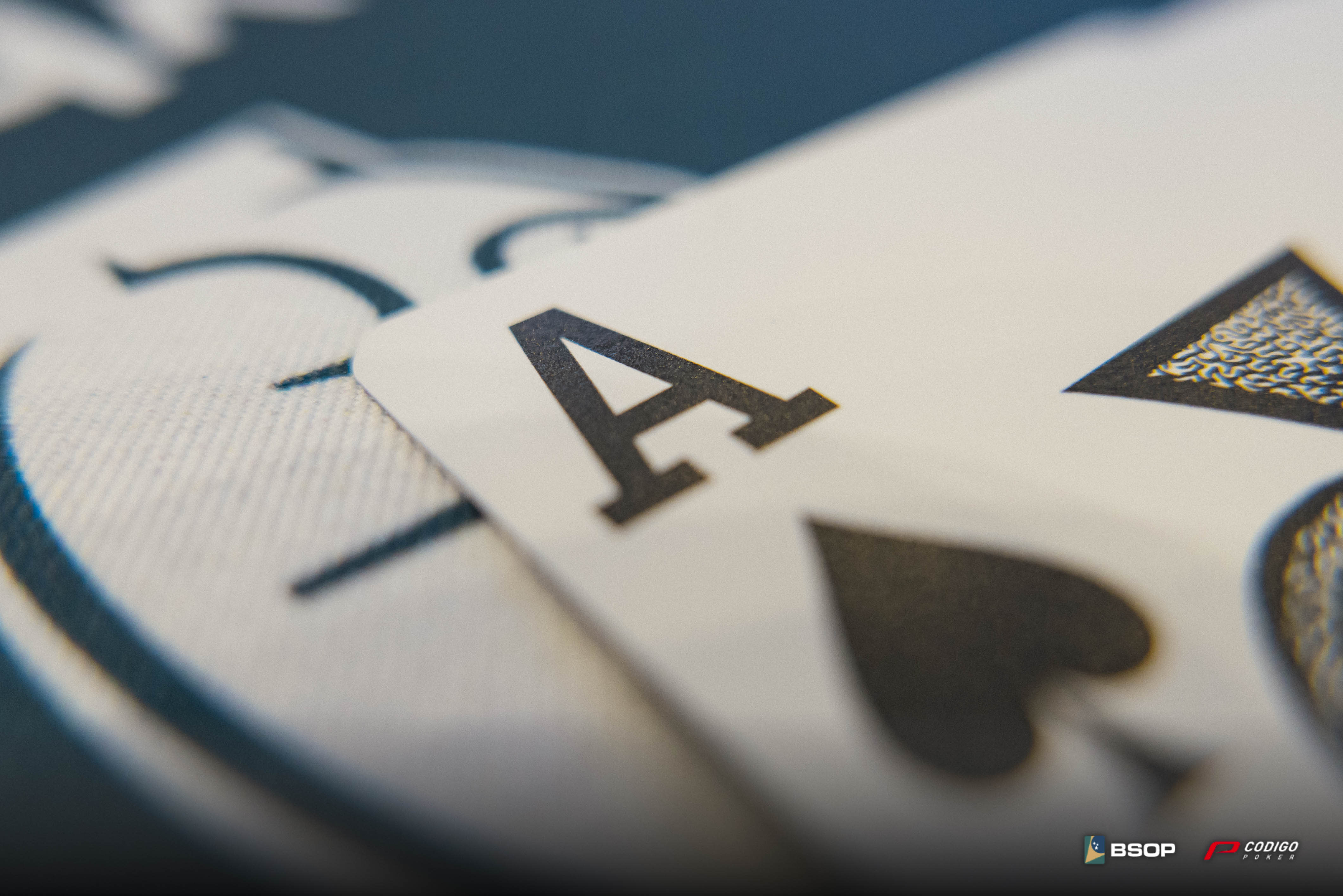 Color Bsop Winter Millions 2025 34 1