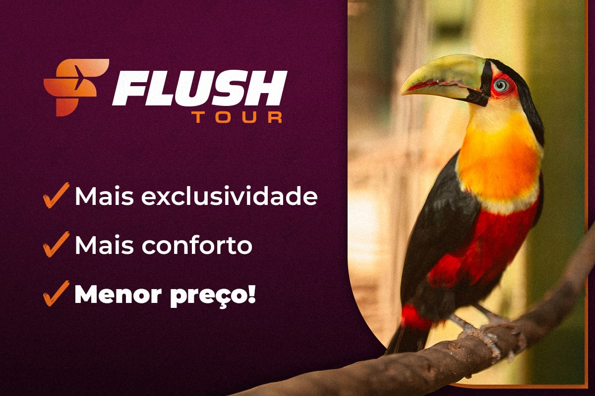 Tarifas mais baixas, hotel exclusivo e mais: as vantagens de viajar com a Flush Tour