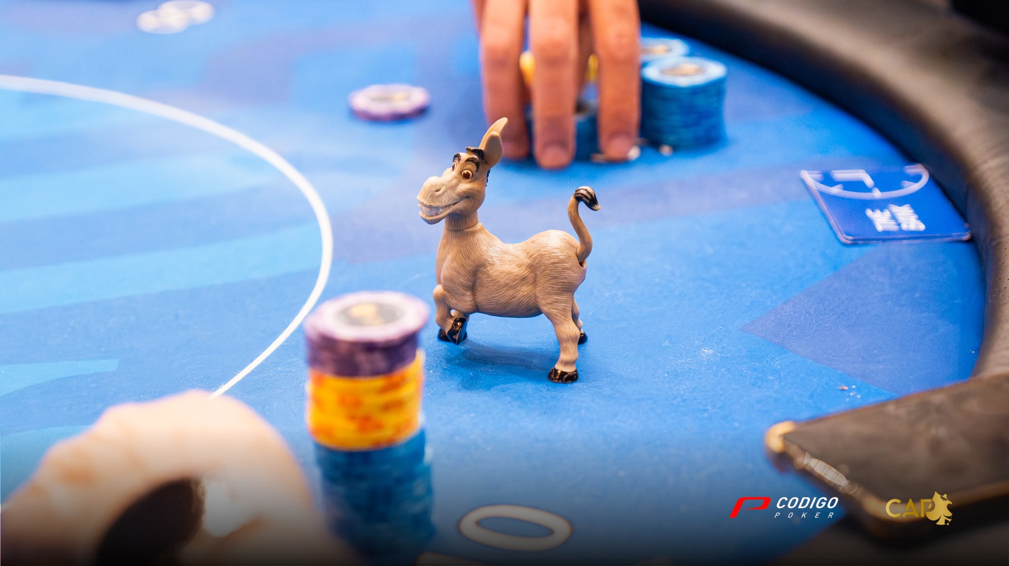 Color2 Main Event 1B Cap Octubre 2025