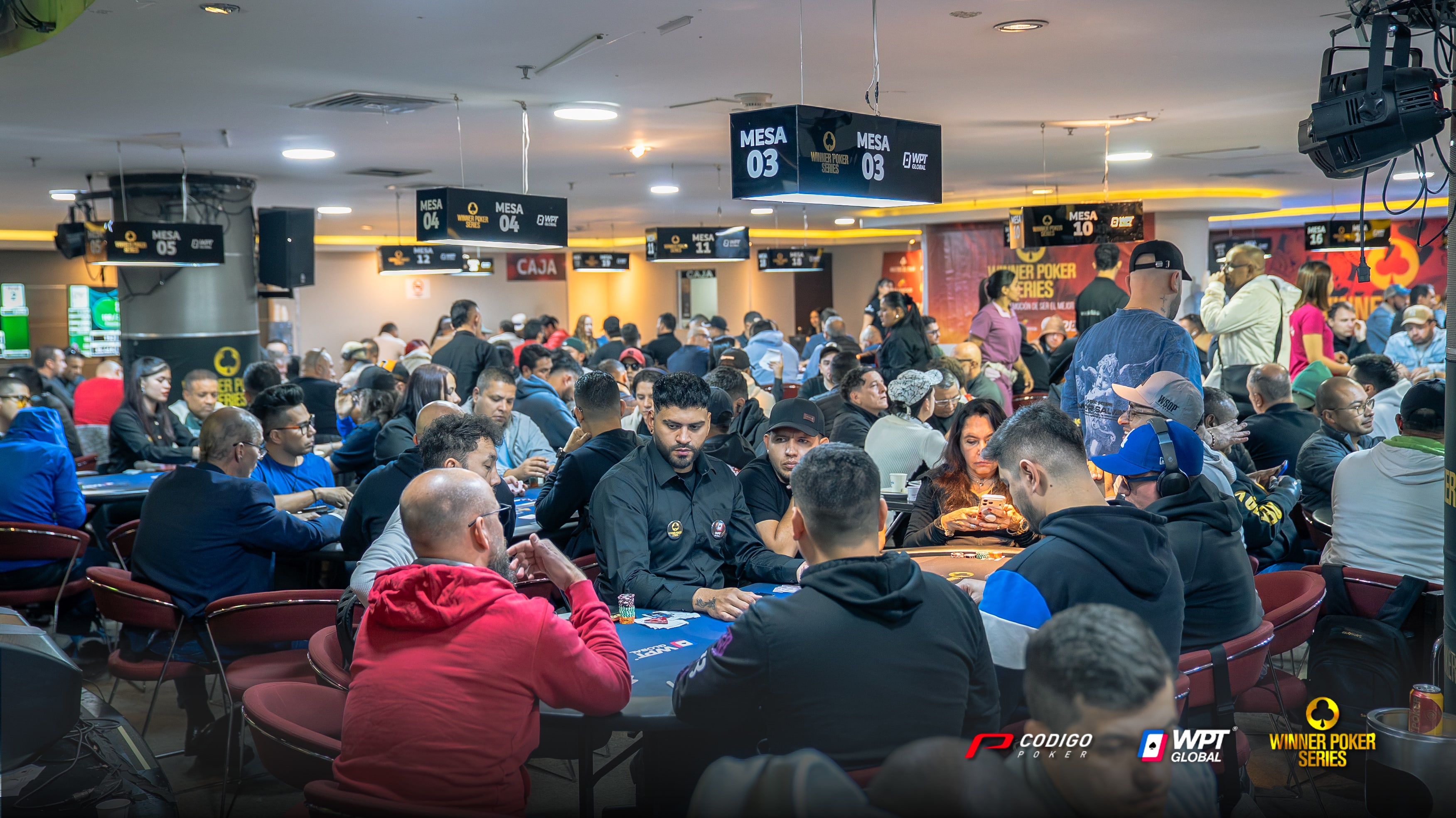 Color8 Wps Bogota Enero 26