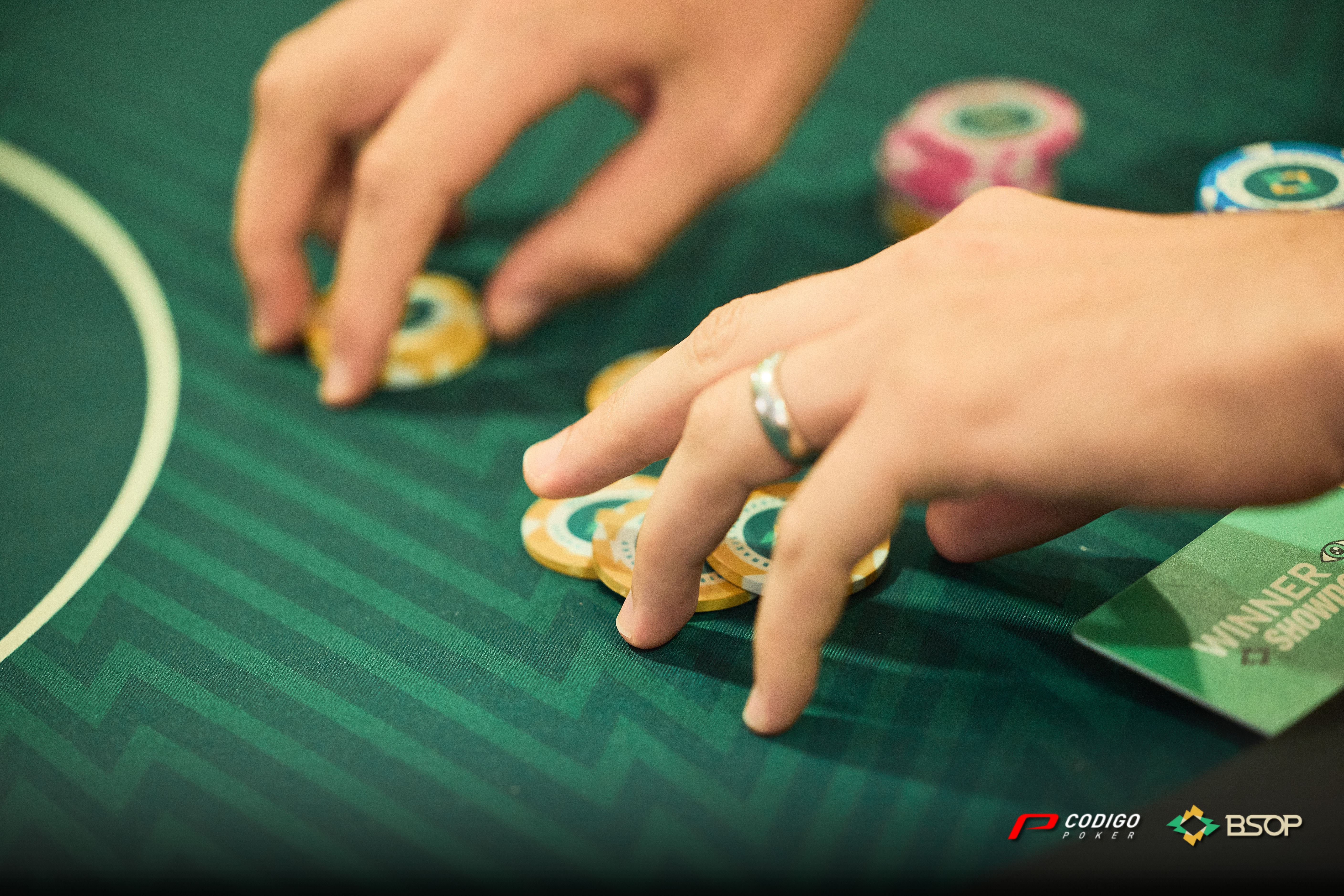 Color Bsophrchampionship 3