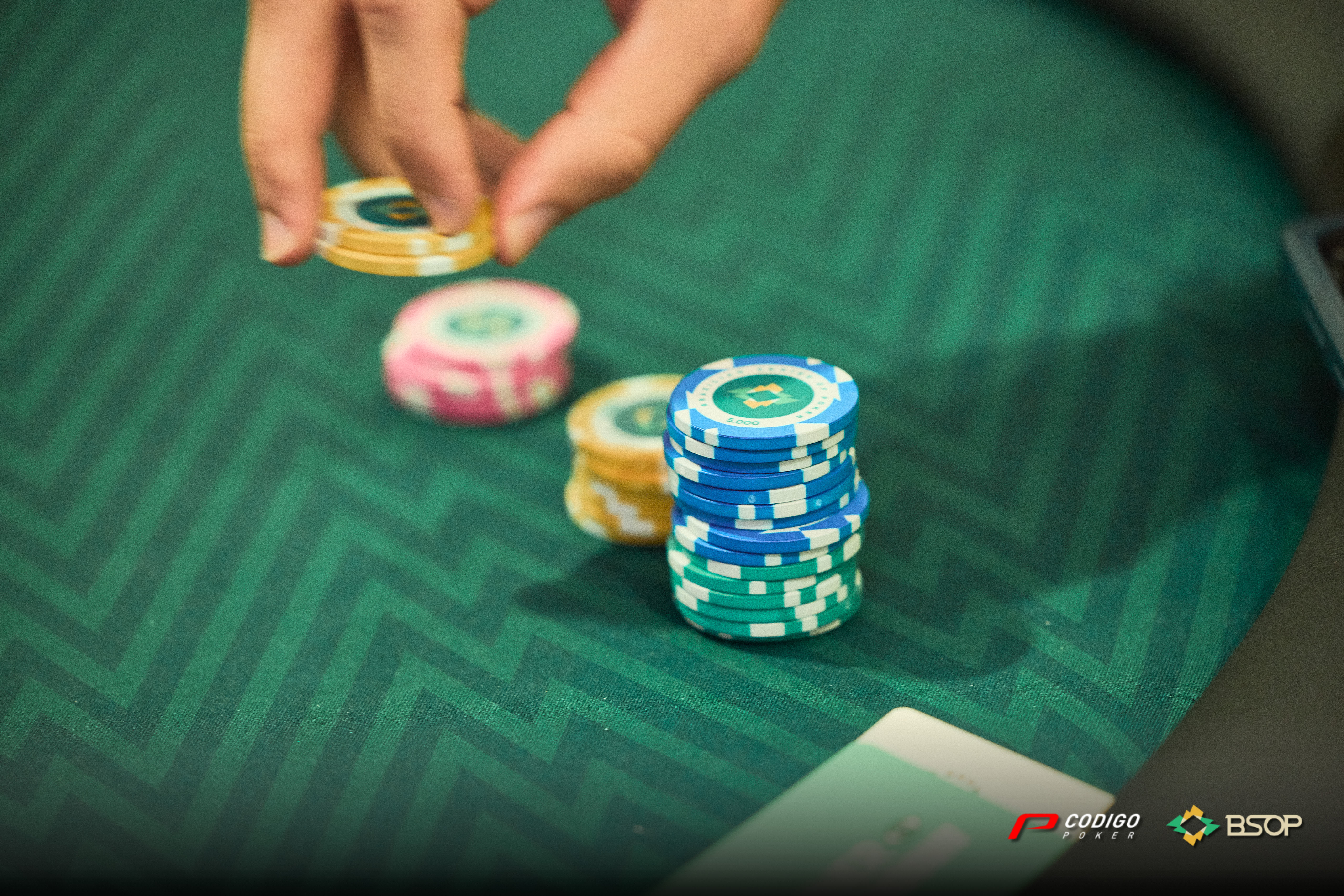 Color Bsophrchampionship 5