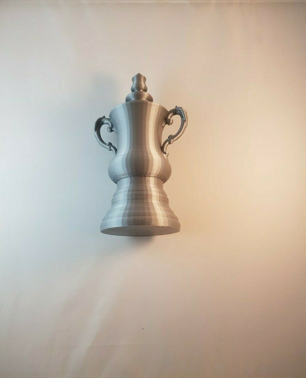 Football trophy silver 20 cm tall English Football cup replica image 5