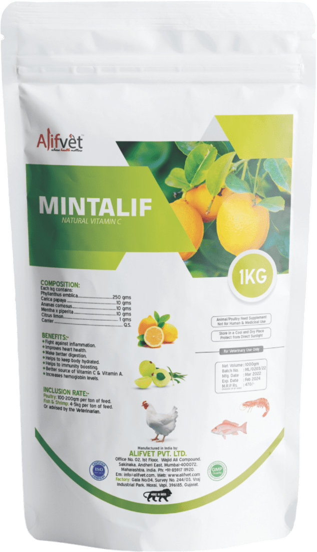MINTALIF