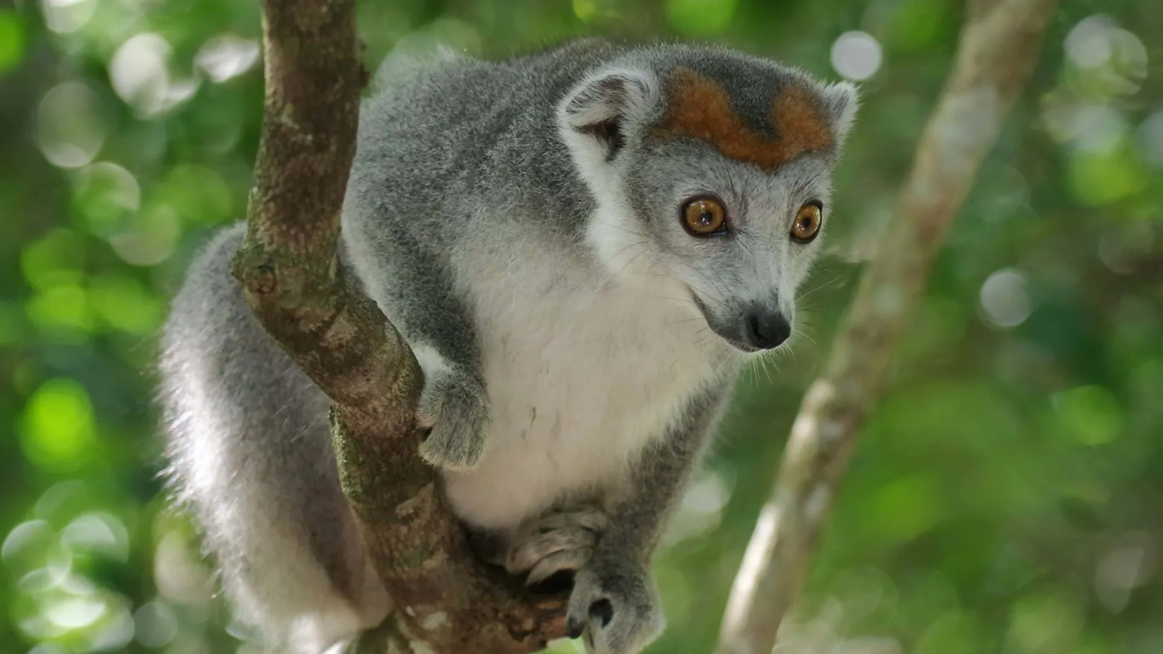 Antsiranana (Diego Suarez), Madagascar