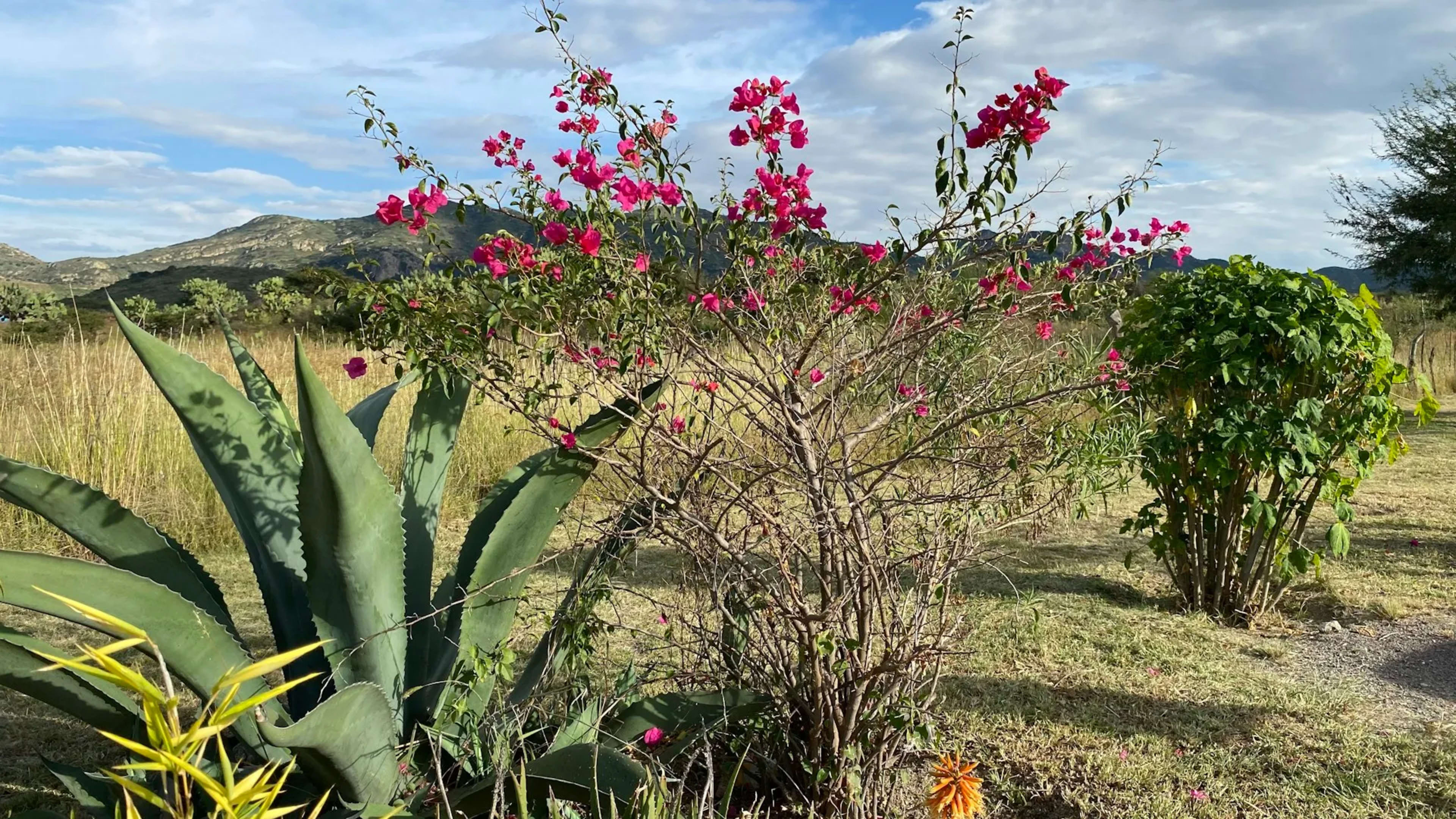 Calica, Mexico
