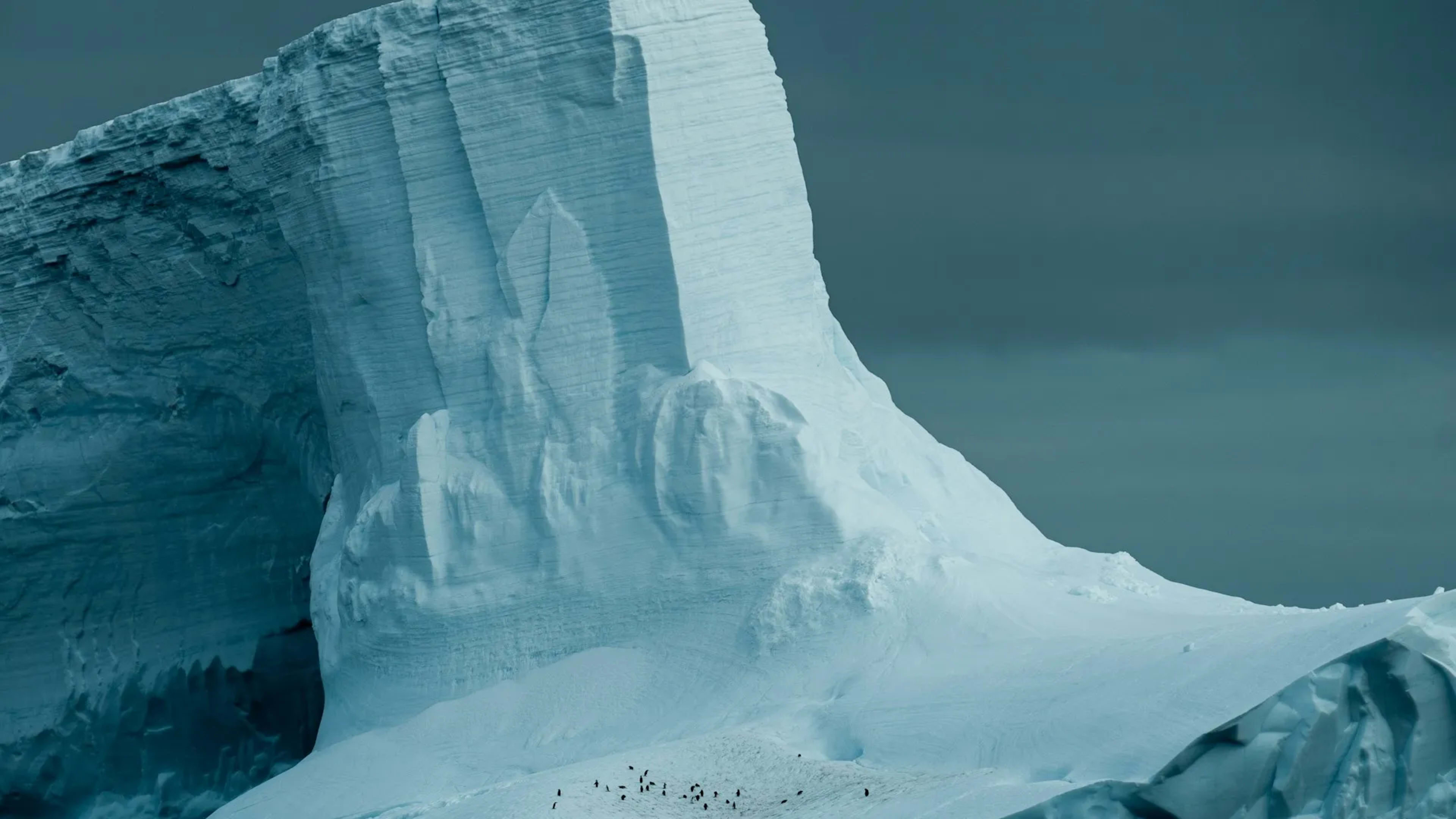 Elephant Island, Antarctica