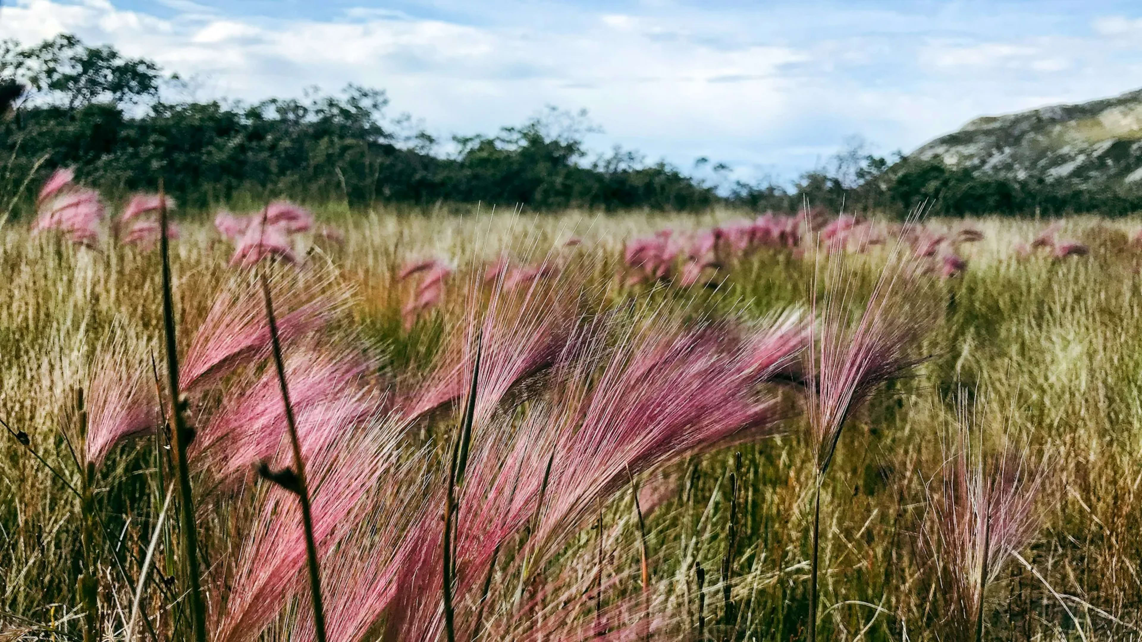 Kangerlussuaq, Greenland
