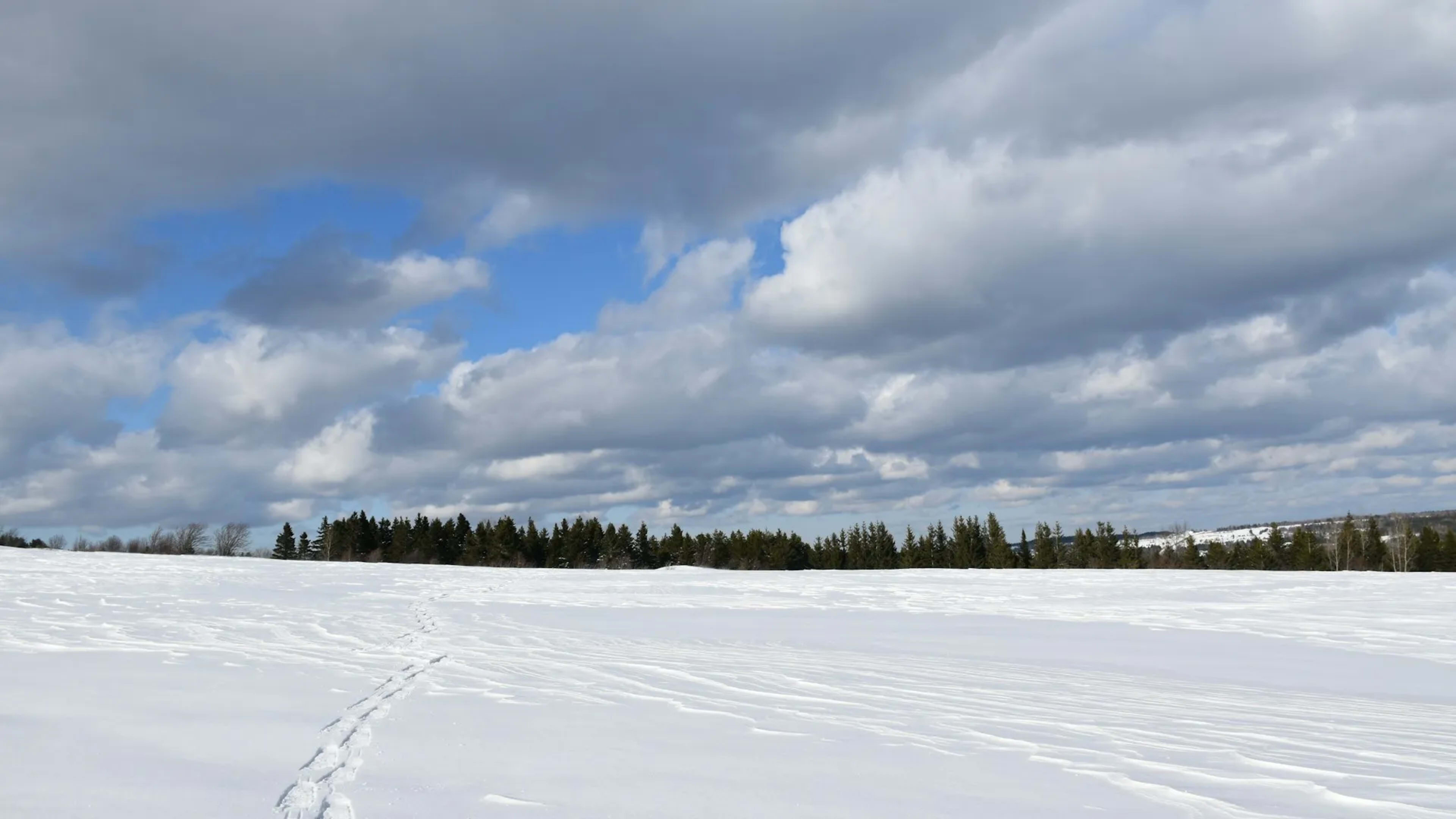 L Anse aux Meadows, Canada