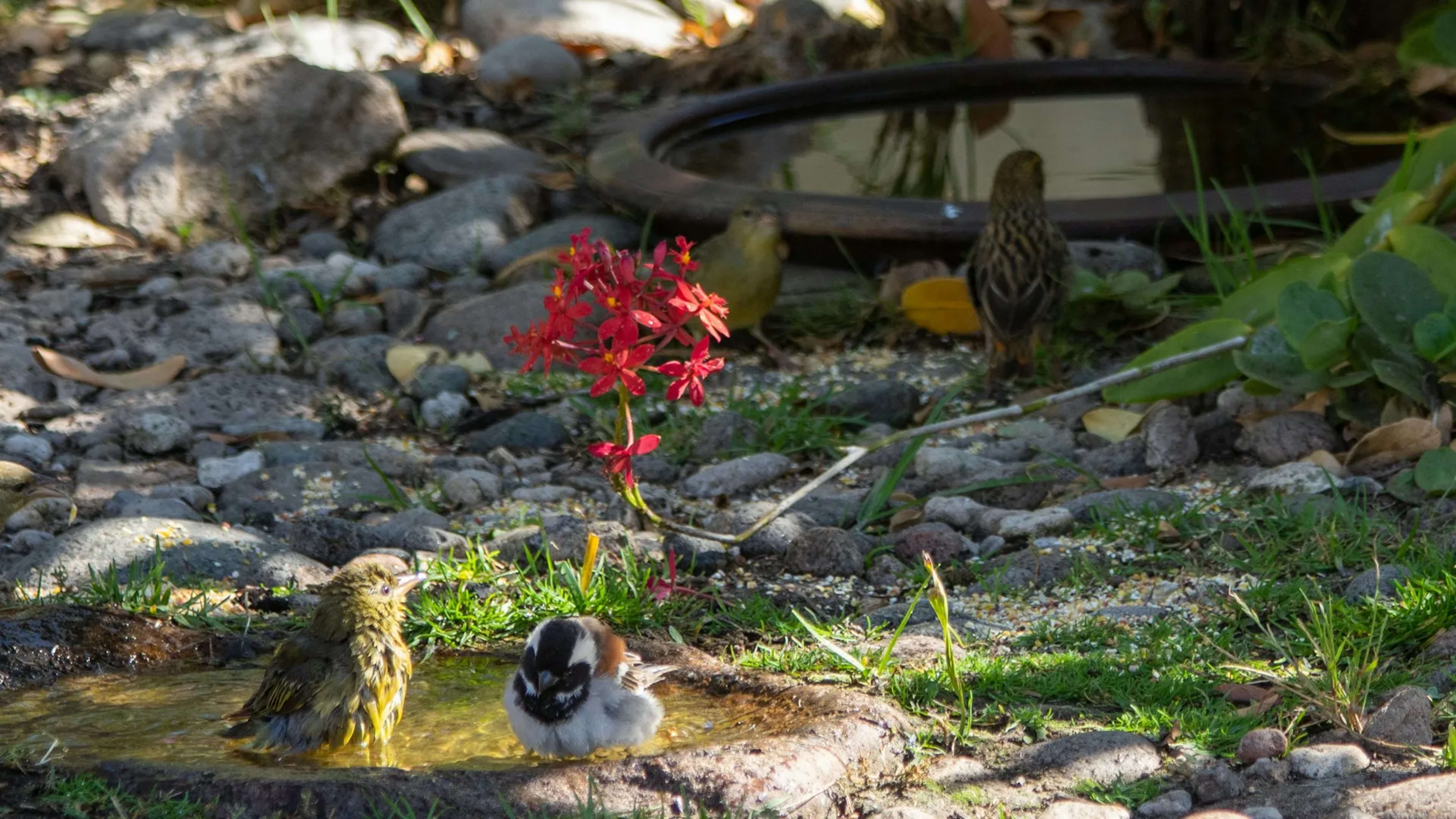 Langebaan, South Africa