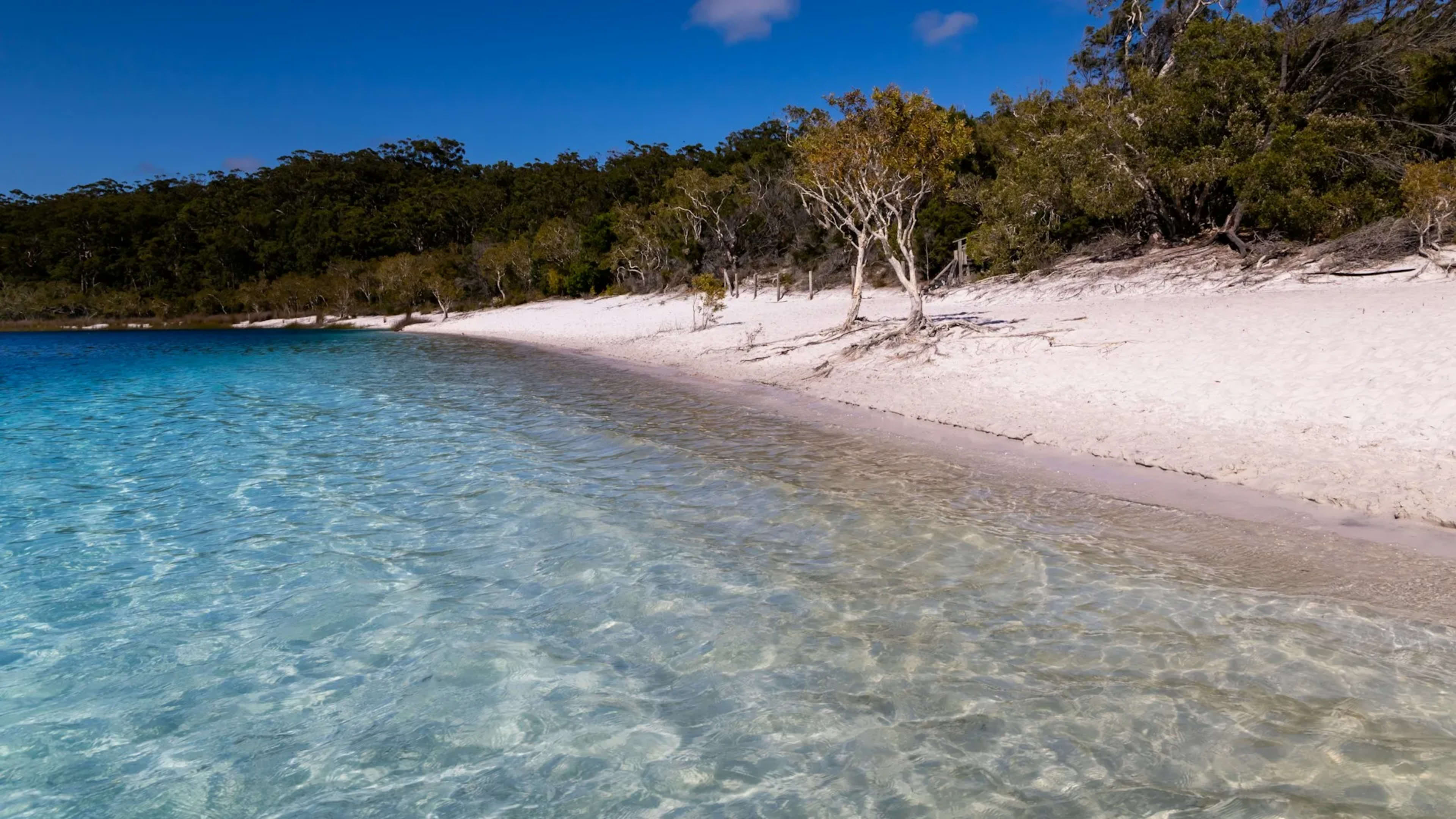 Macquarie Island, Australia