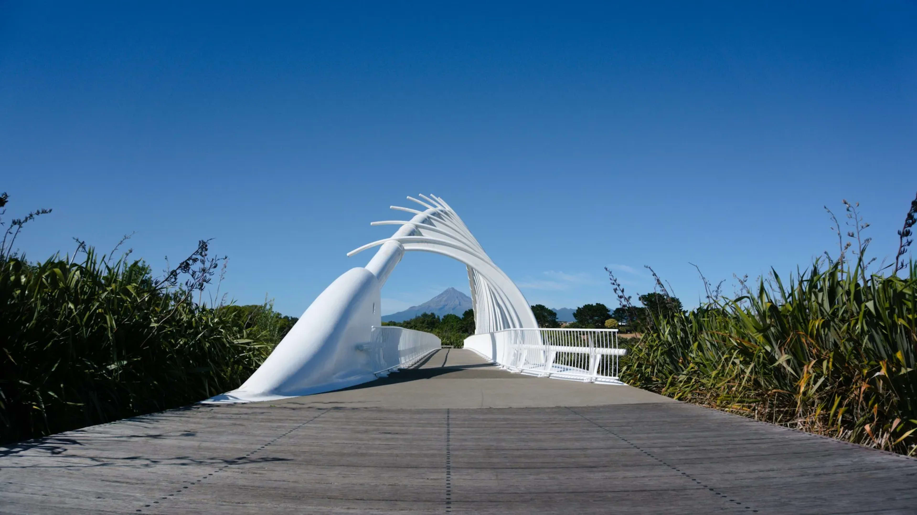 New Plymouth, New Zealand