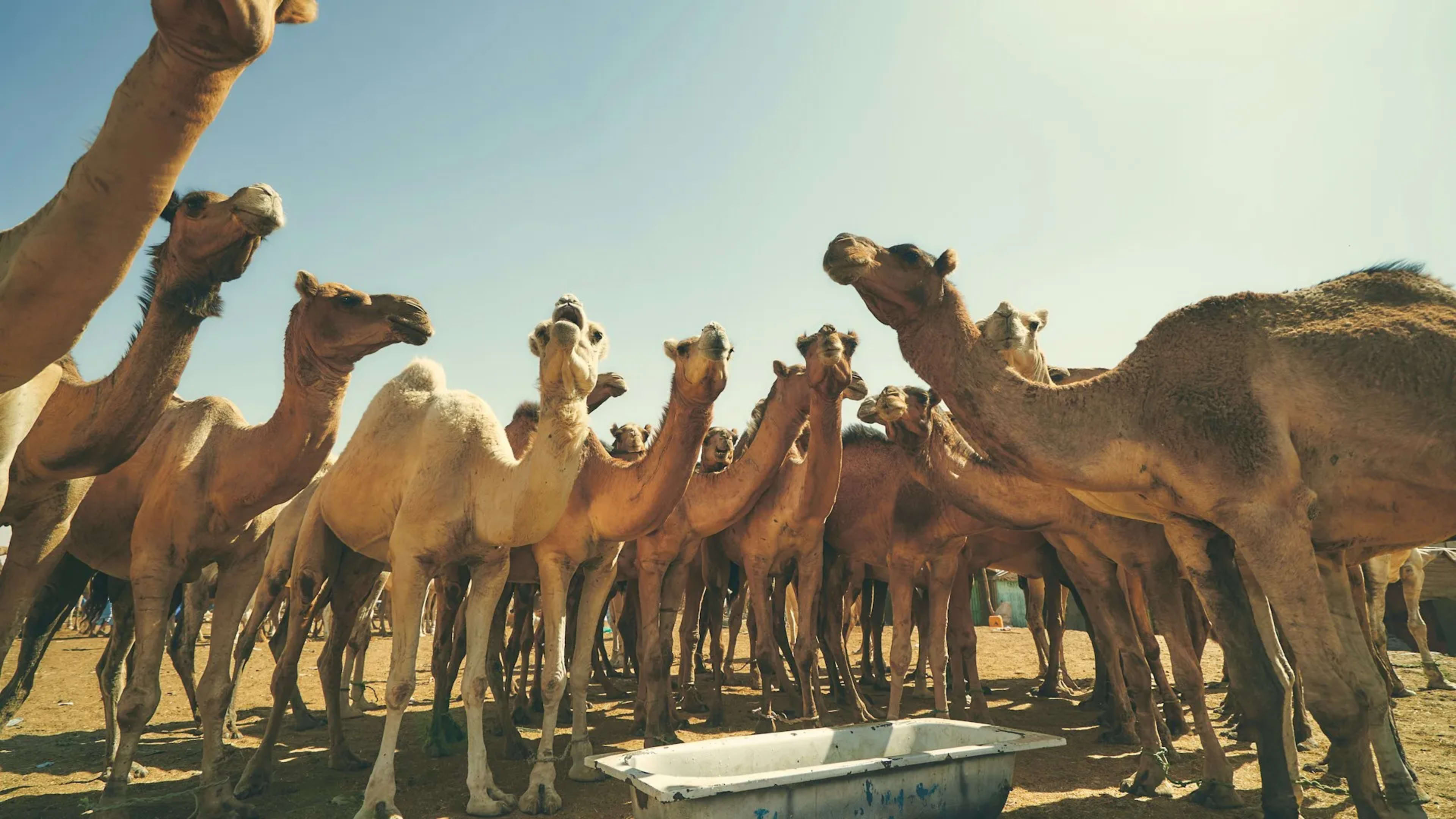 Nouakchott, Mauritania