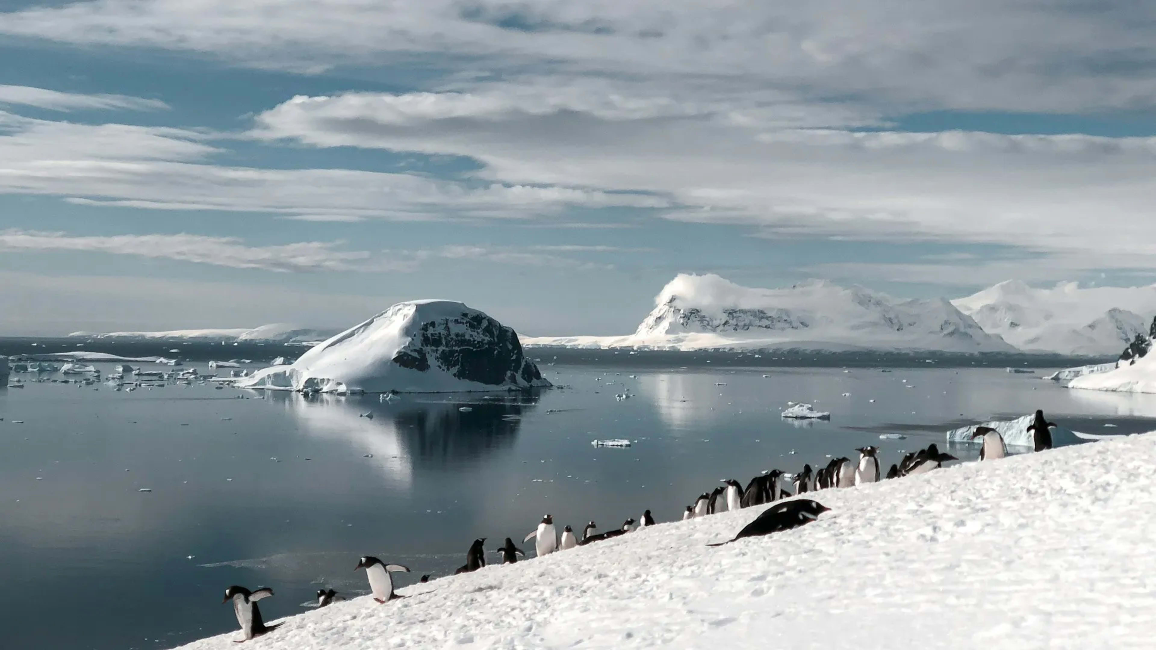 Paulet Island, Antarctica