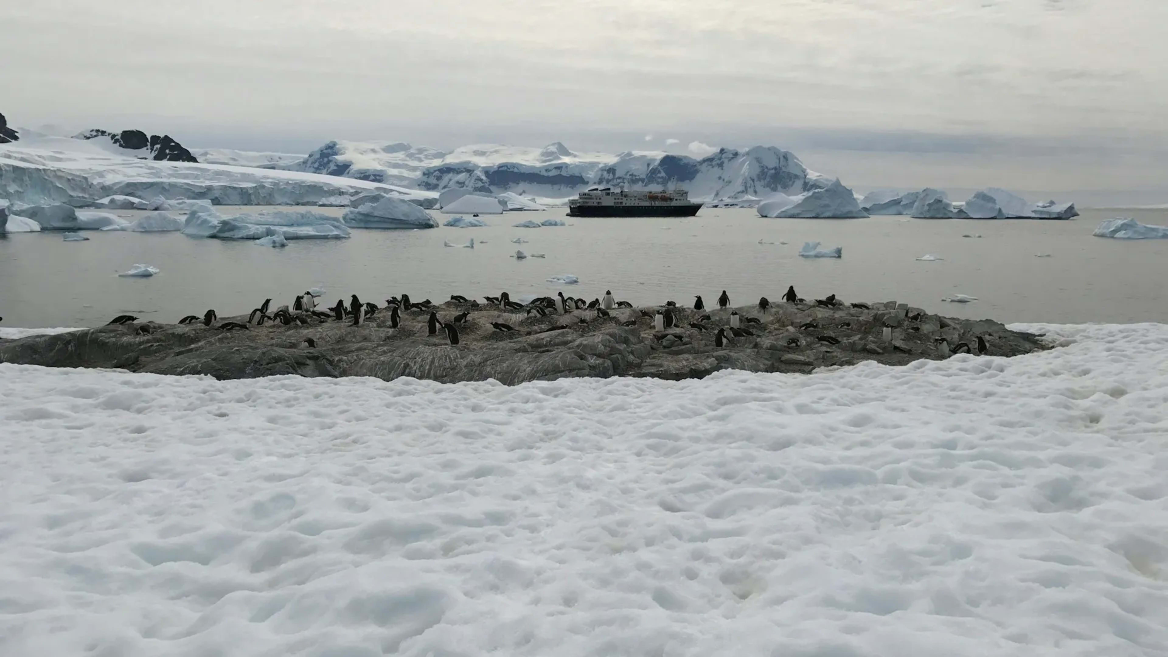 Petermann Island, Antarctica