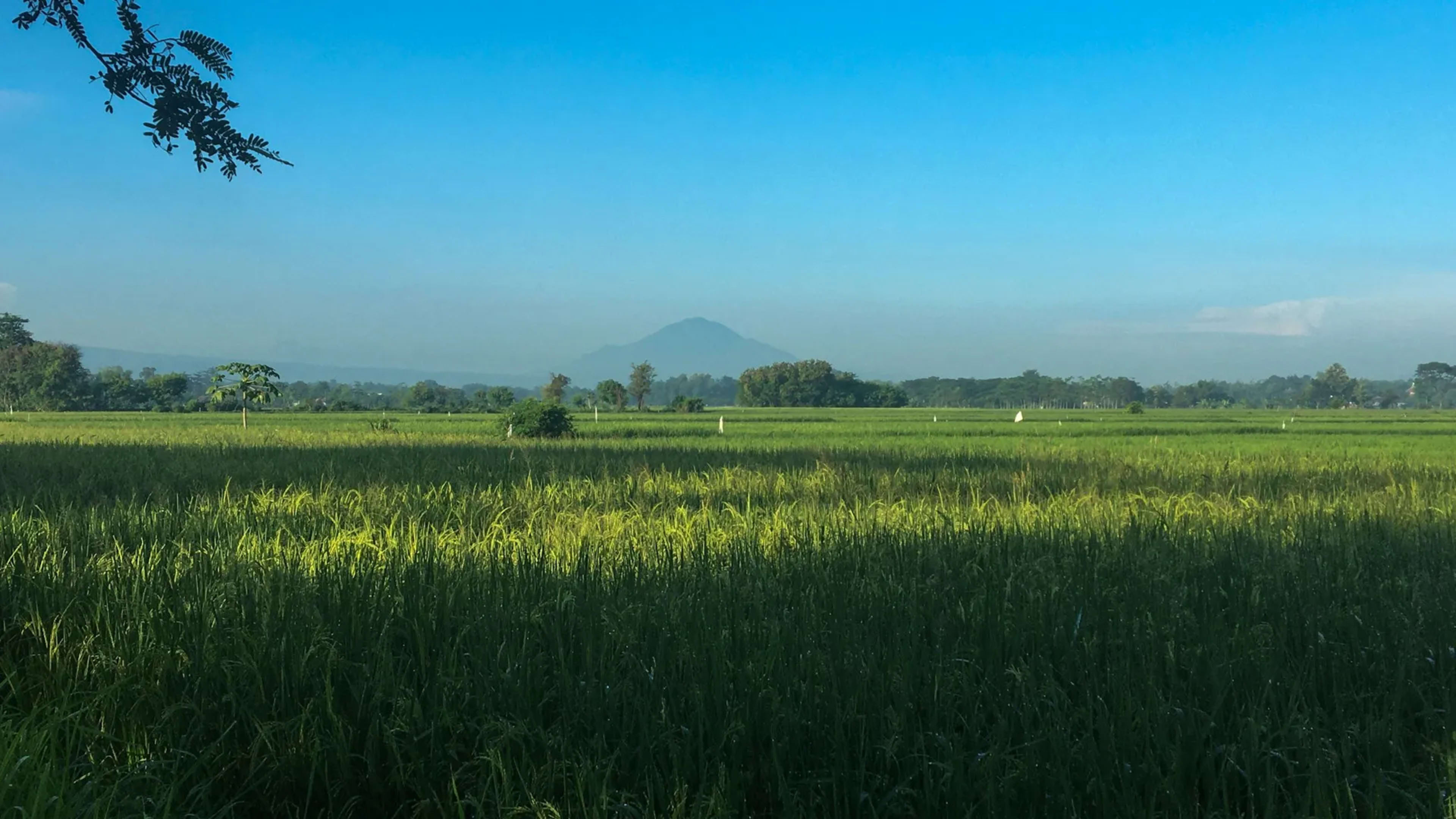 Probolinggo, Indonesia