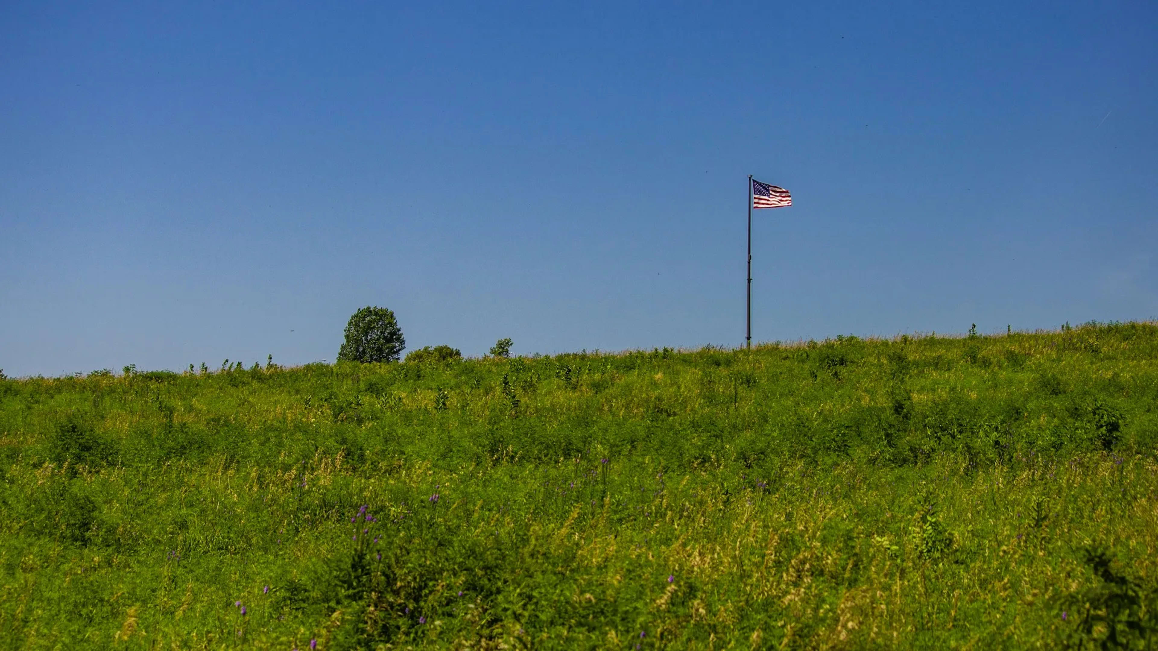 Vacherie (Oak Alley Plantation), United States