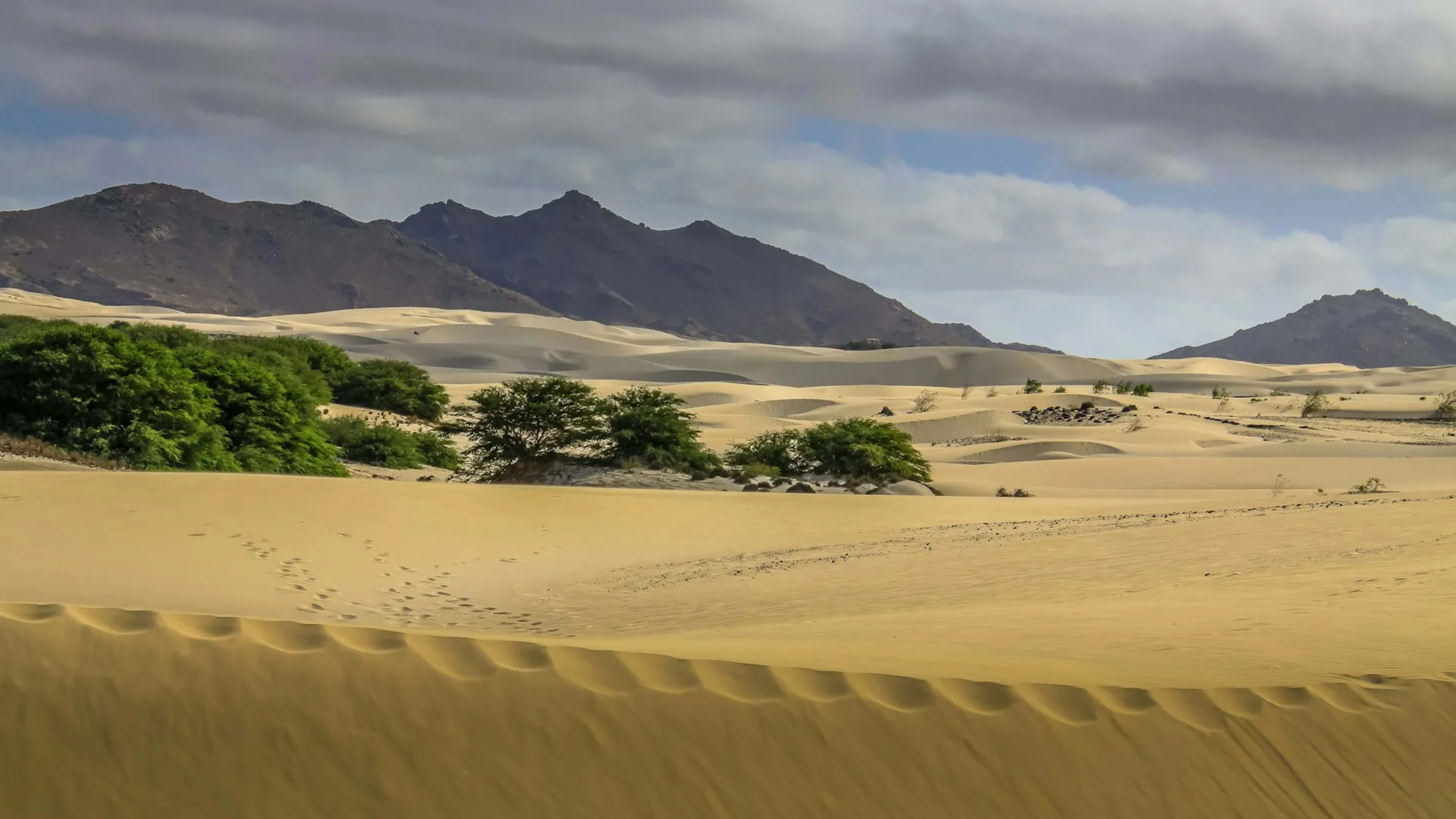 Sal Rei (Boa Vista, Cape Verde), Cape Verde