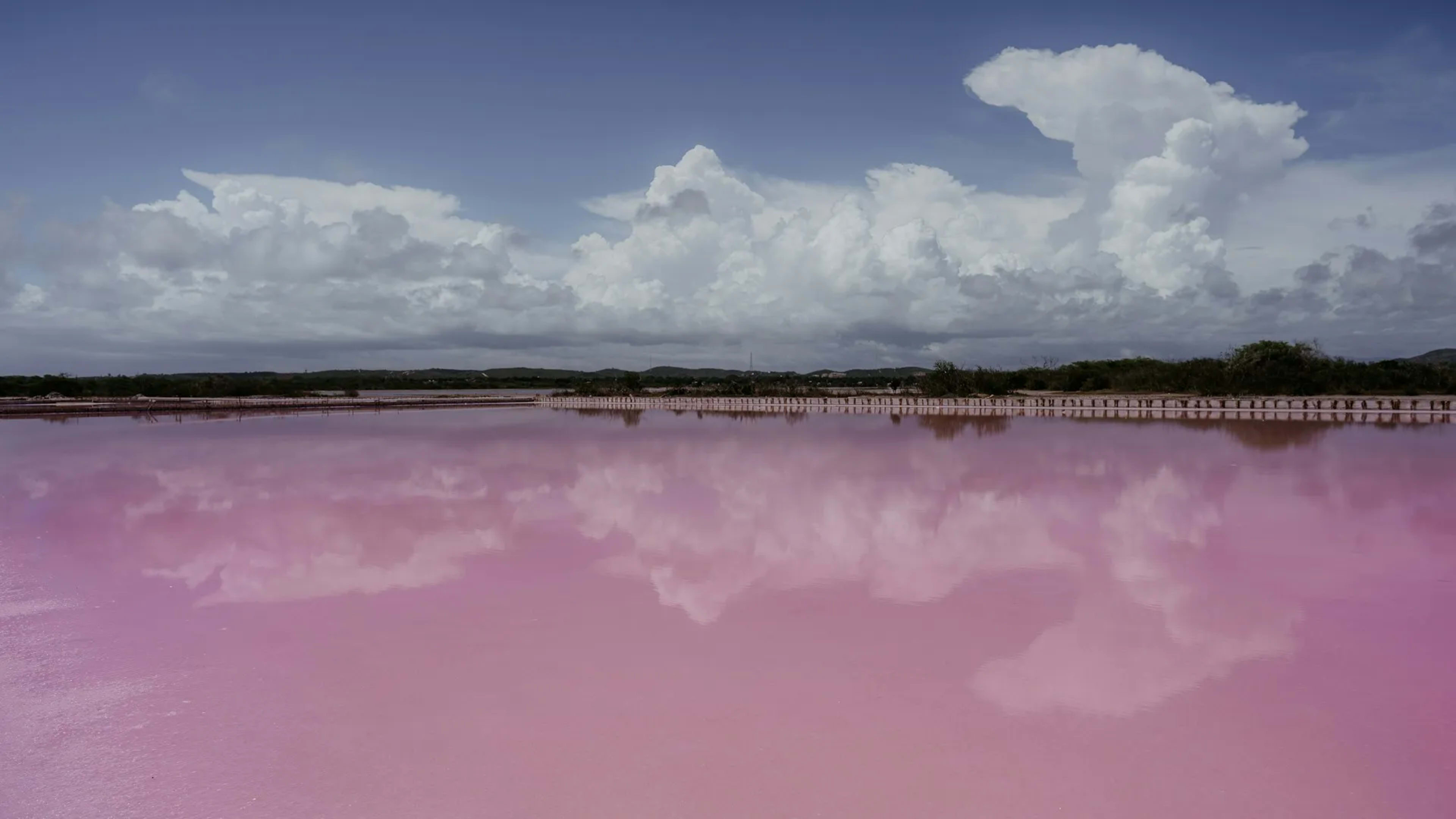Salinas, Puerto Rico
