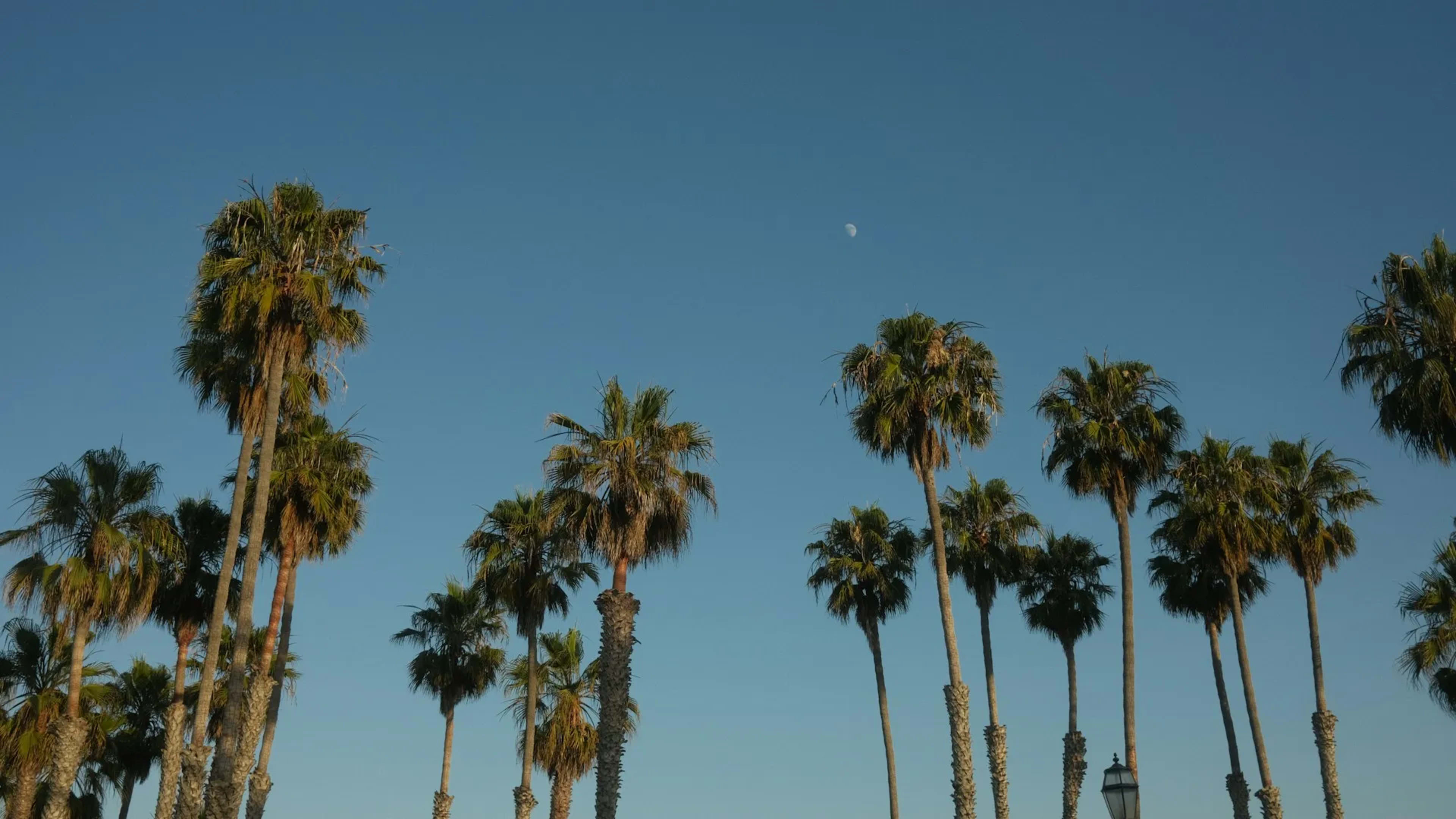 Santa Barbara, United States