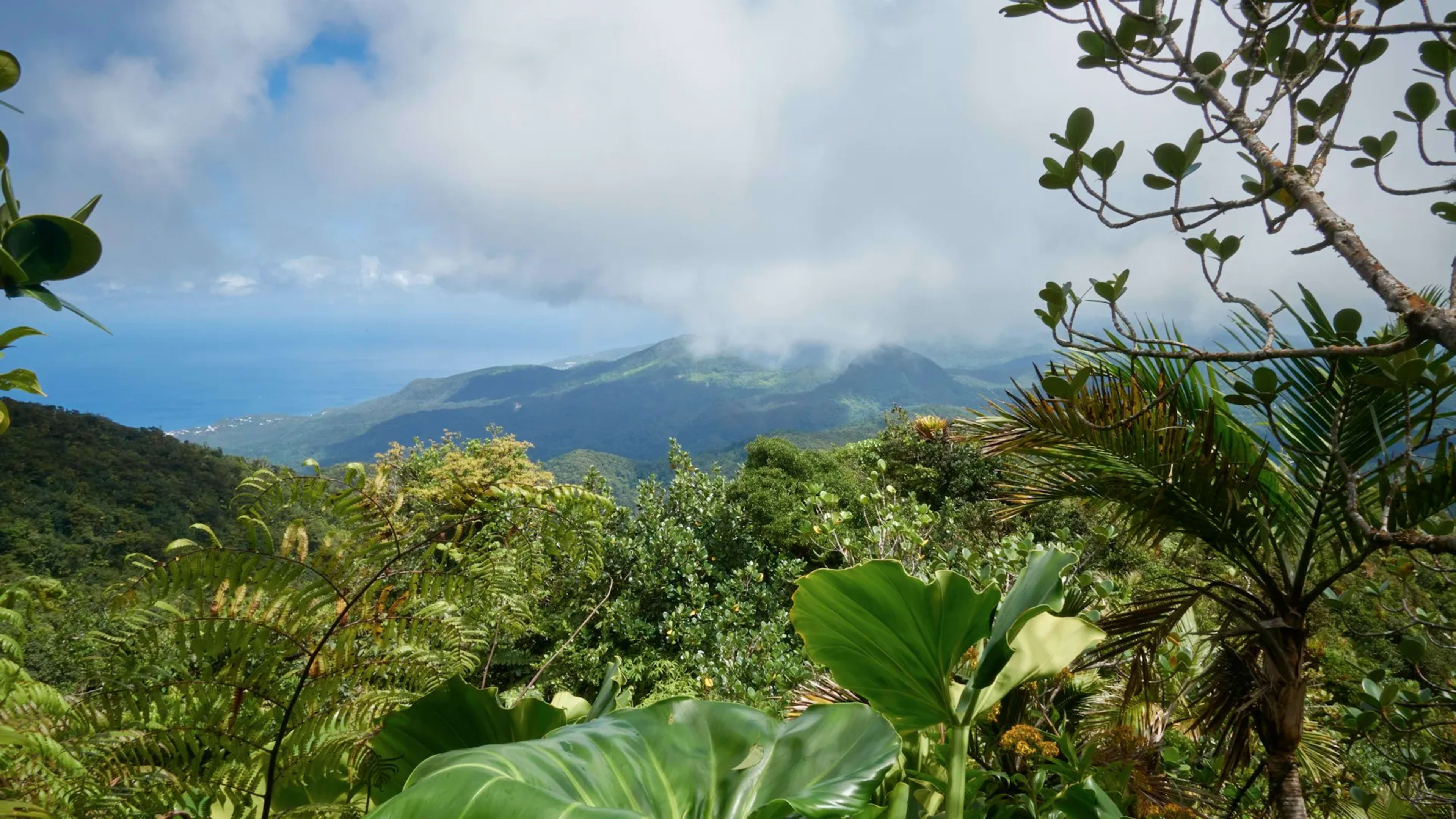 Terre de Haut, Guadeloupe