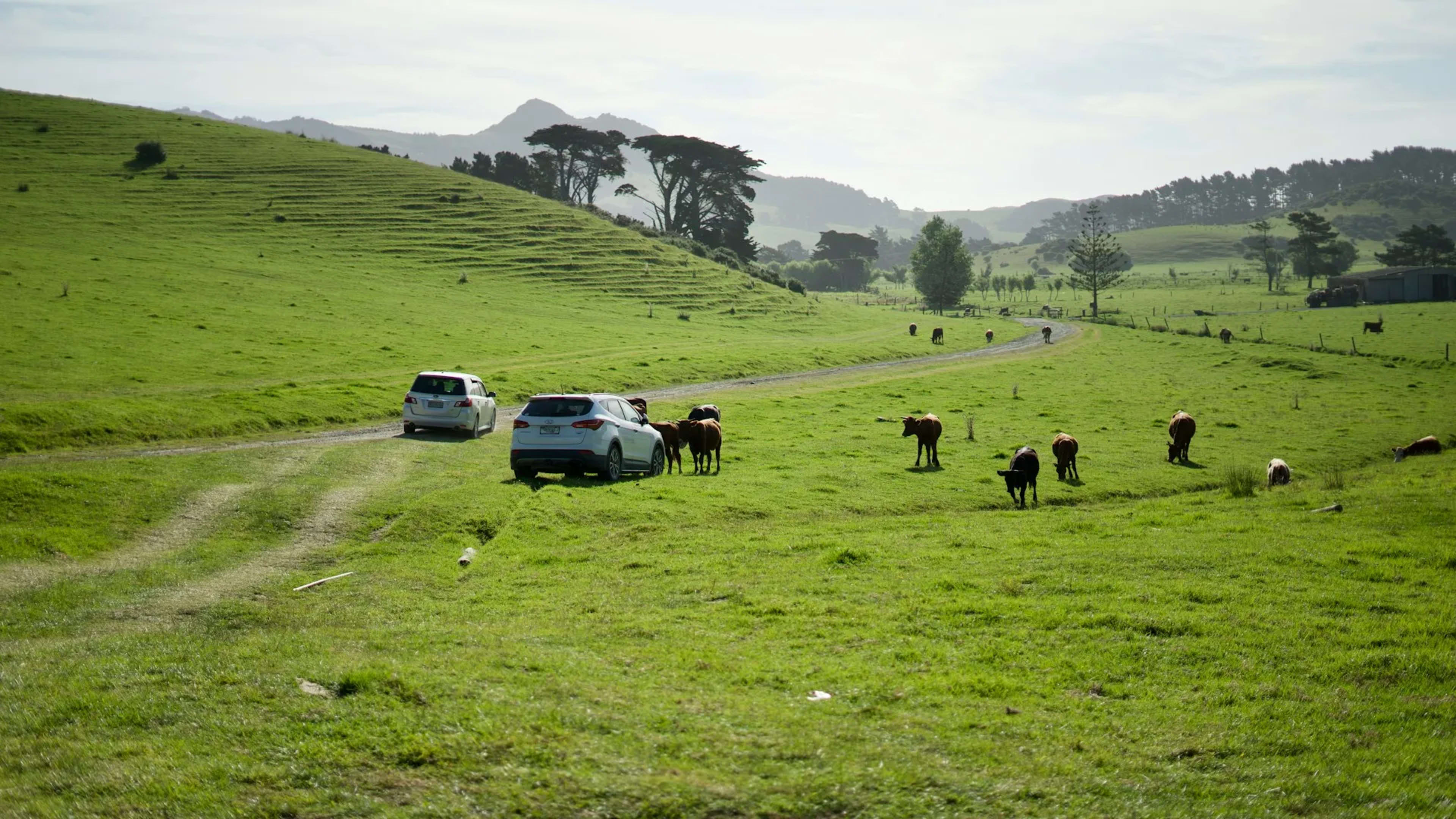 Whangarei, New Zealand