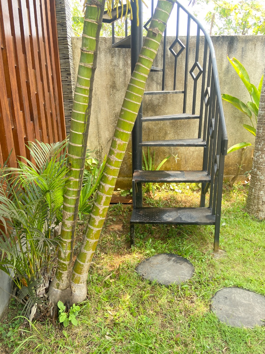 Sesudah dibersihkan