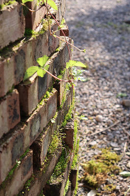 Light on a brick wall corner