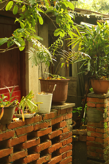 Flowerpots lined on a brick wall