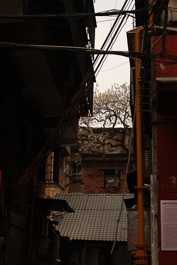 A dark alley before the streetlamps come on
