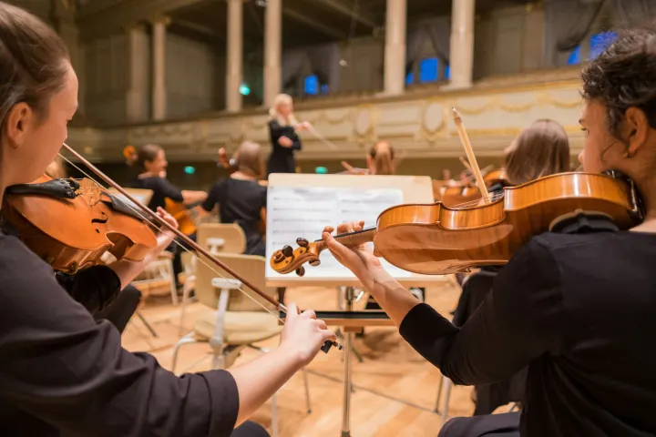 Key Differences Between the Violin and Viola