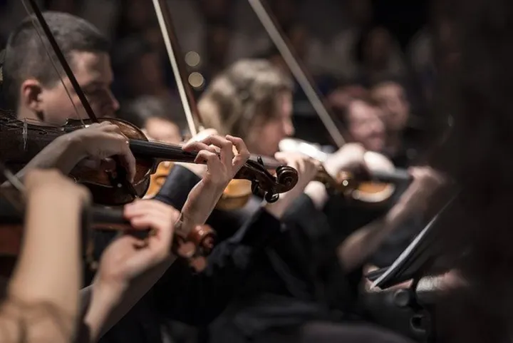 Violin Lessons For All levels and Styles Violin Lessons For All levels and Styles