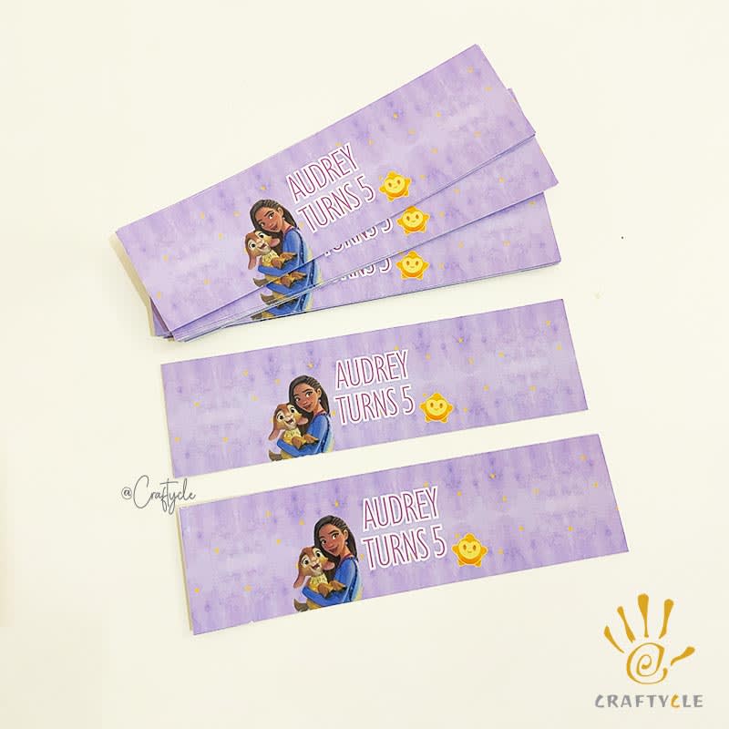 Disney Wish Water Bottle Wrap Holder