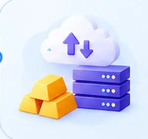 Gold Provider and Custody Infrastructure