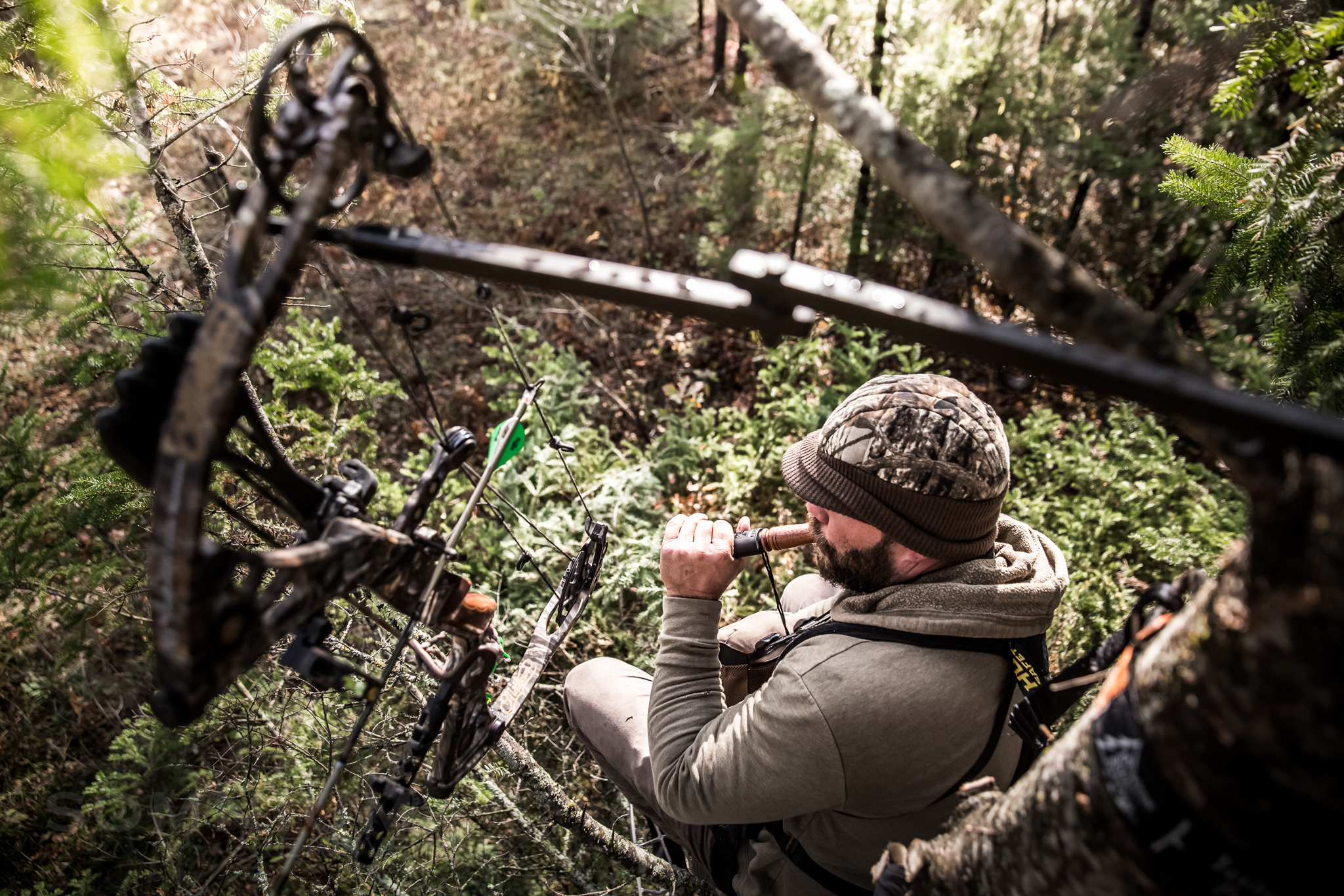 images/hunting_outdoors/0E6A8436.JPG