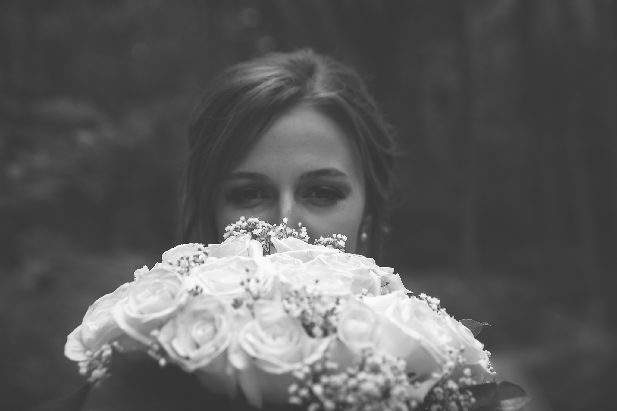 images/engagment_weddings/_E6A0787.JPG