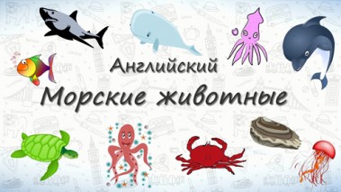 Морские животные на английском.