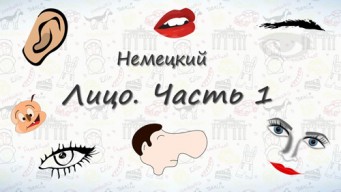 Части лица на немецком. Часть 1