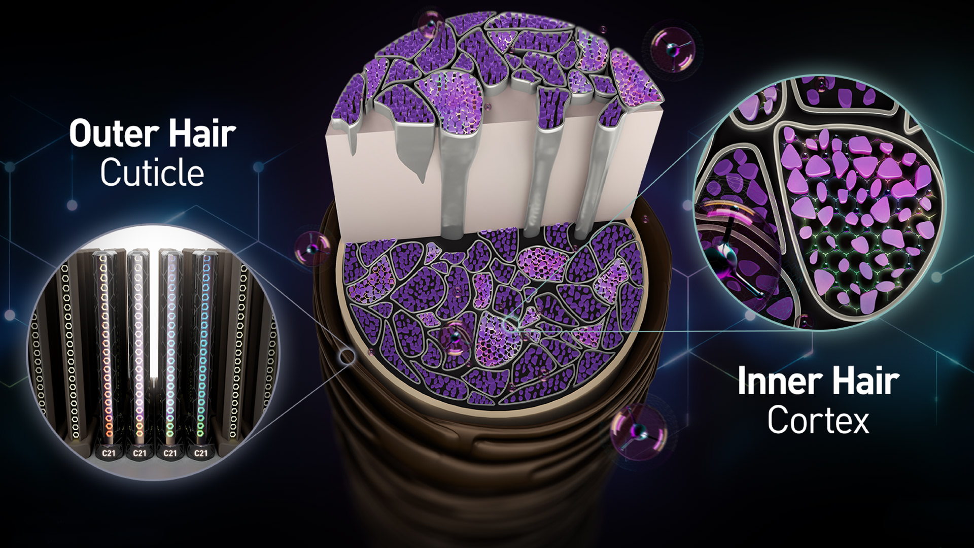 BC FibreClinix 3D Technical Drawings
