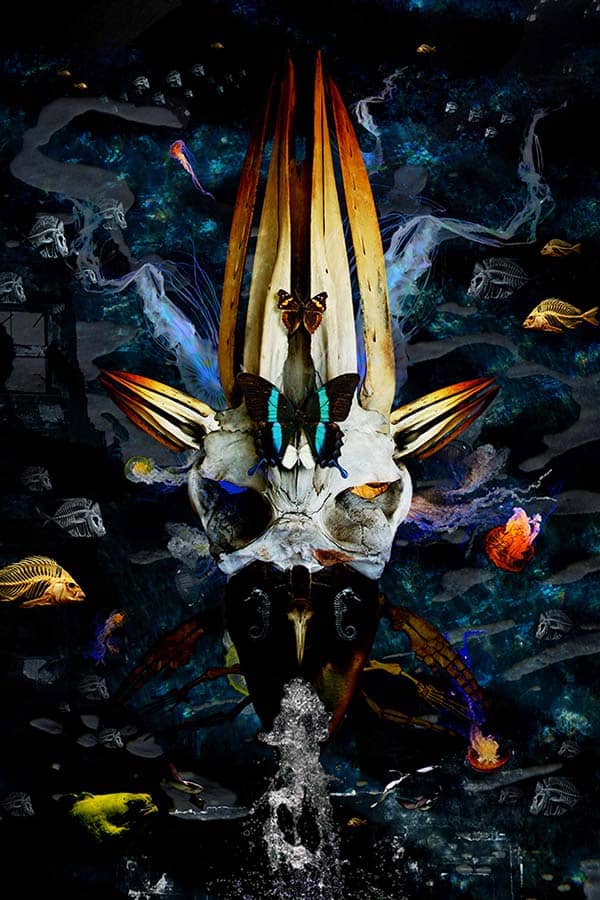 Fine Art project by 