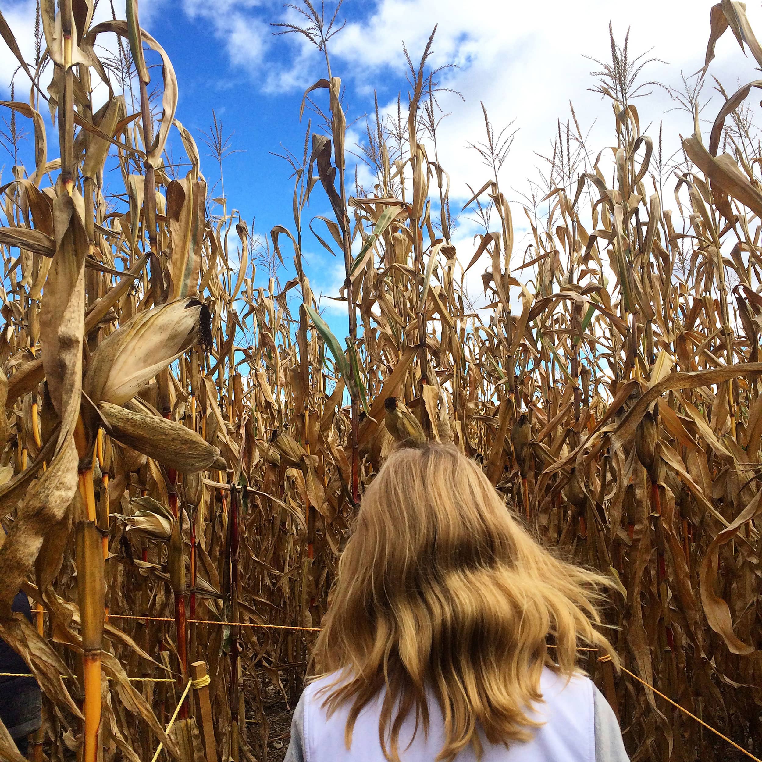 Photography project by 